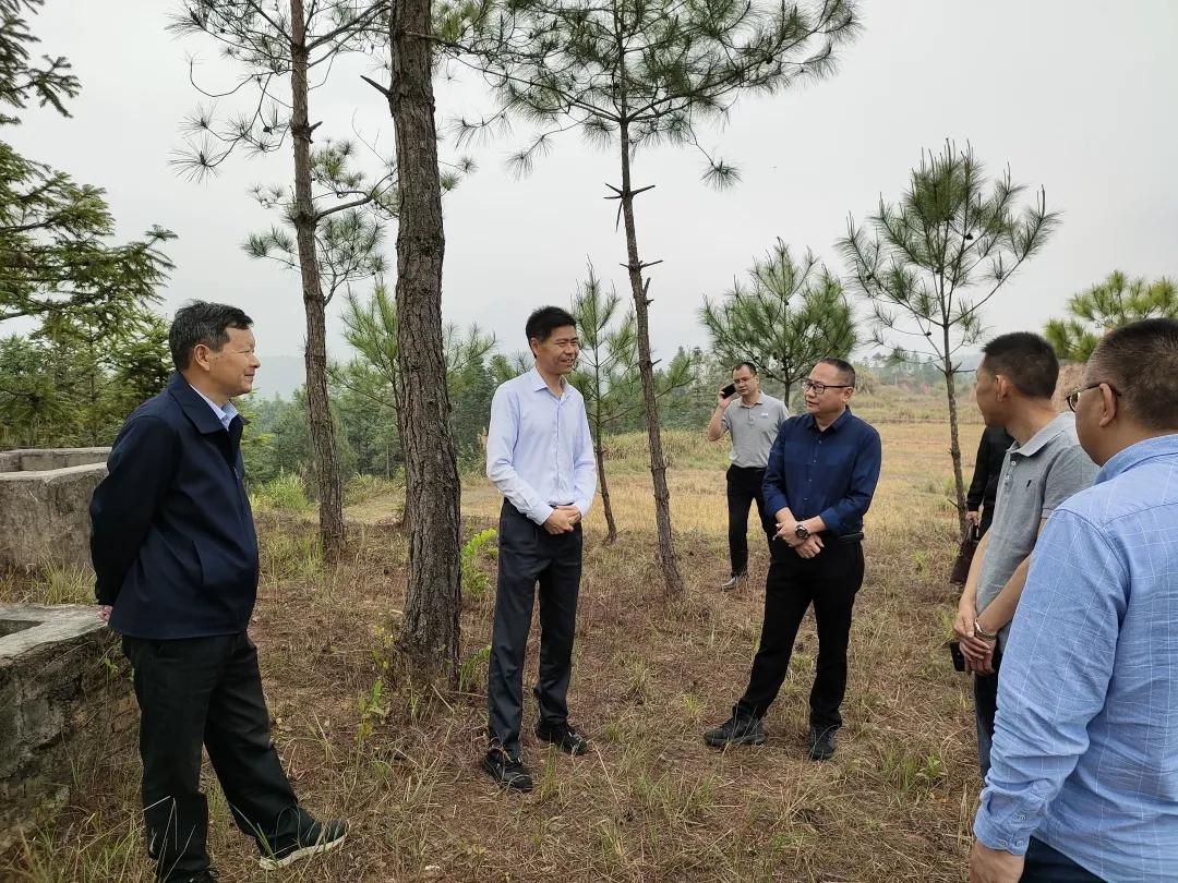 上杭白砂鎮(zhèn)做水庫最新,上杭白砂鎮(zhèn)水庫建設(shè)最新動態(tài)