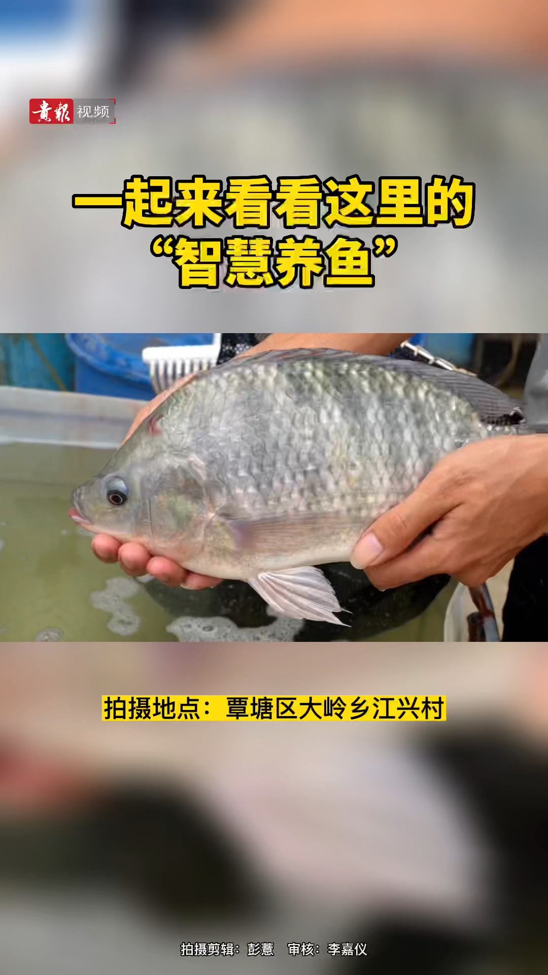 鯪魚(yú)水花最新養(yǎng)殖技術(shù),鯪魚(yú)水花最新養(yǎng)殖技術(shù)探討