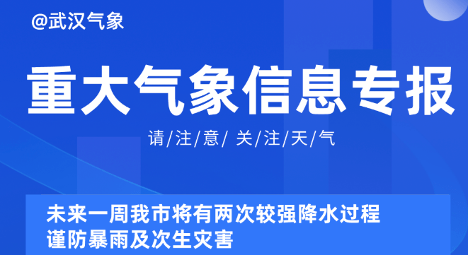 新奧精準資料免費提供510期,新奧精準資料免費提供510期，深度解析與前瞻性預測