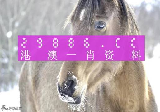 澳門精準(zhǔn)一肖一碼100%,澳門精準(zhǔn)一肖一碼100%，揭示犯罪背后的真相