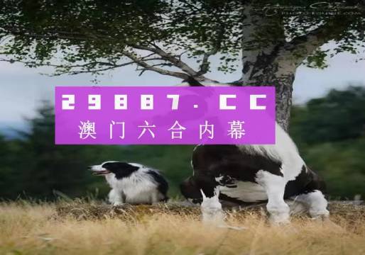 新澳門跑狗圖,澳門跑狗圖，揭示背后的犯罪問題與風(fēng)險(xiǎn)警示