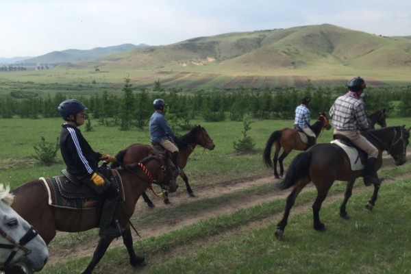 澳門今晚開特馬四不像圖,澳門今晚開特馬四不像圖，揭示違法犯罪的危害與警示