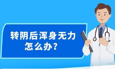 新澳精準資料大全免費更新,新澳精準資料大全免費更新，助力信息獲取與知識共享