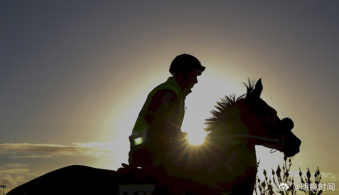 2024澳門特馬今晚開獎,關于澳門特馬今晚開獎的真相與警示