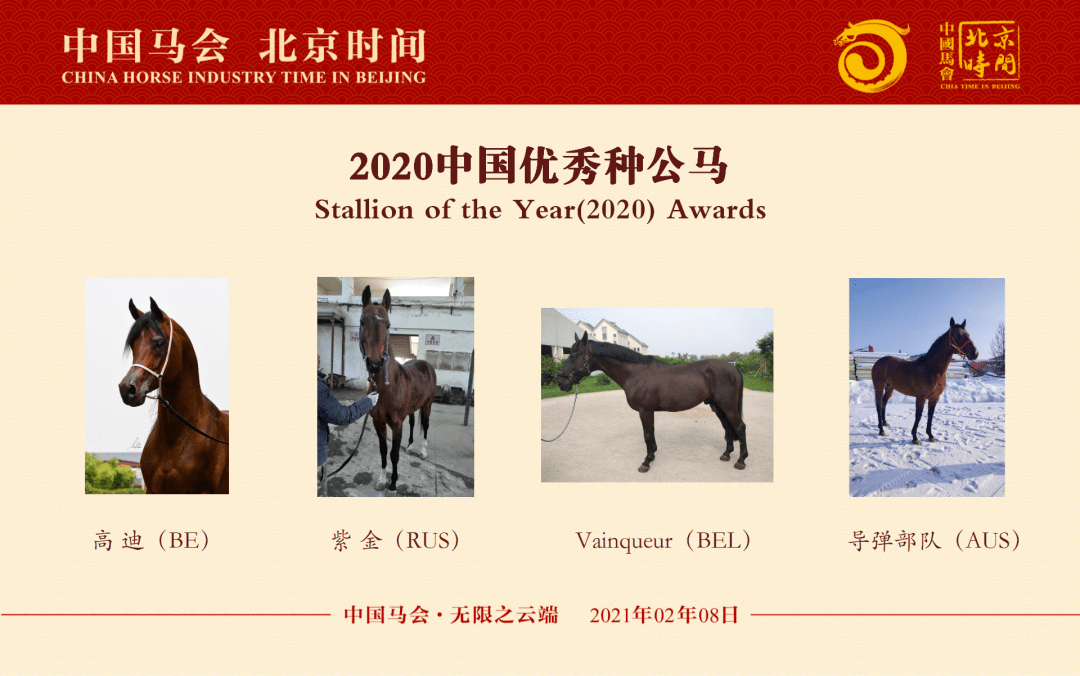 今晚澳門馬出什么特馬,關(guān)于今晚澳門馬會(huì)出什么特馬的分析與探討——警惕賭博犯罪風(fēng)險(xiǎn)