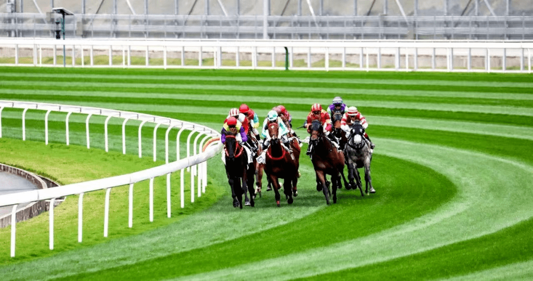 930香港馬精準(zhǔn)資料,香港賽馬精準(zhǔn)資料，探索930賽事的奧秘