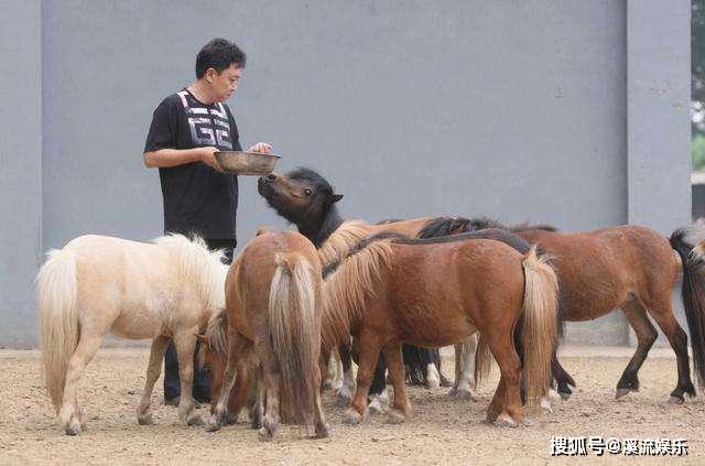 今晚澳門特馬開什么今晚四不像,關(guān)于澳門特馬開獎及四不像的真相探討——警惕違法犯罪問題