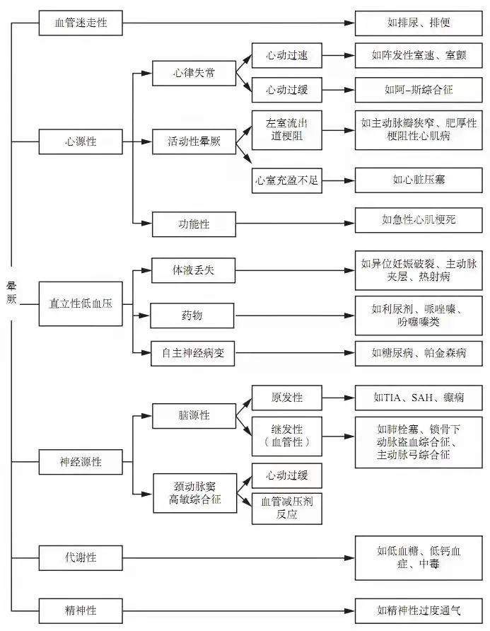 777778888王中王最新,探索數(shù)字背后的秘密，揭秘王中王最新與777778888背后的故事