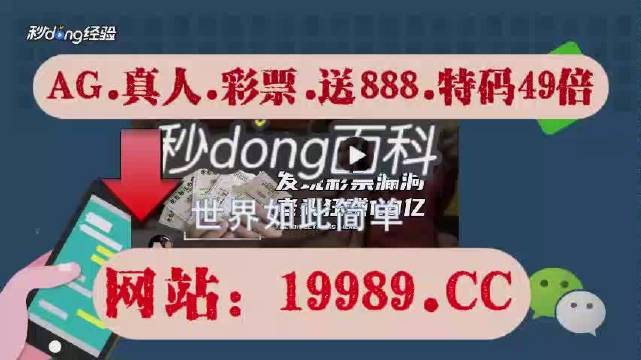 2024澳門天天六開彩開獎結果,揭秘澳門天天六開彩開獎結果——探索背后的秘密與真相