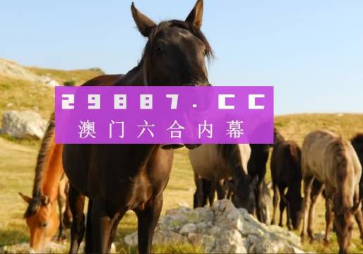 今晚澳門馬出什么特馬,今晚澳門馬出什么特馬，探索賽馬世界的神秘面紗