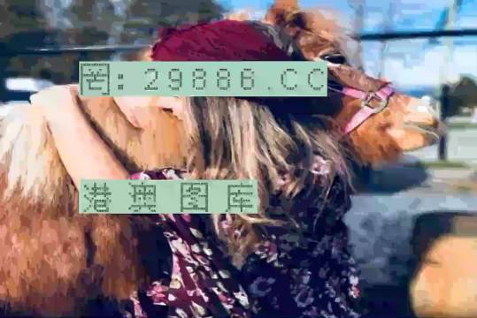 7777788888跑狗論壇資料,探索跑狗論壇，揭秘?cái)?shù)字組合77777與88888的魅力世界