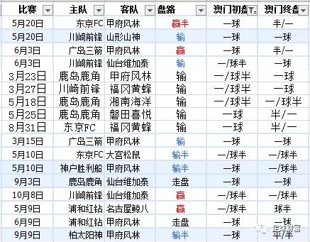 新澳內(nèi)部資料精準(zhǔn)一碼波色表,新澳內(nèi)部資料精準(zhǔn)一碼波色表，探索與解讀