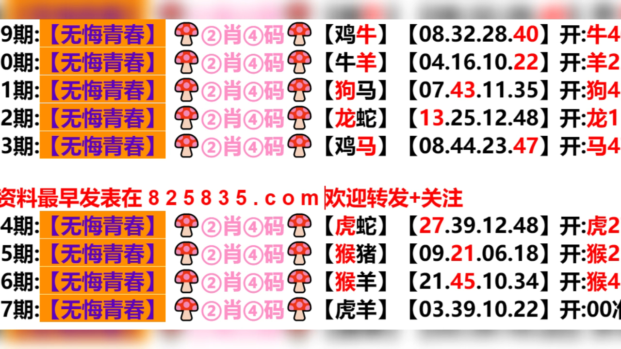 2024新奧門天天開好彩大全85期,探索新奧門，2024年天天開好彩的奧秘與期待