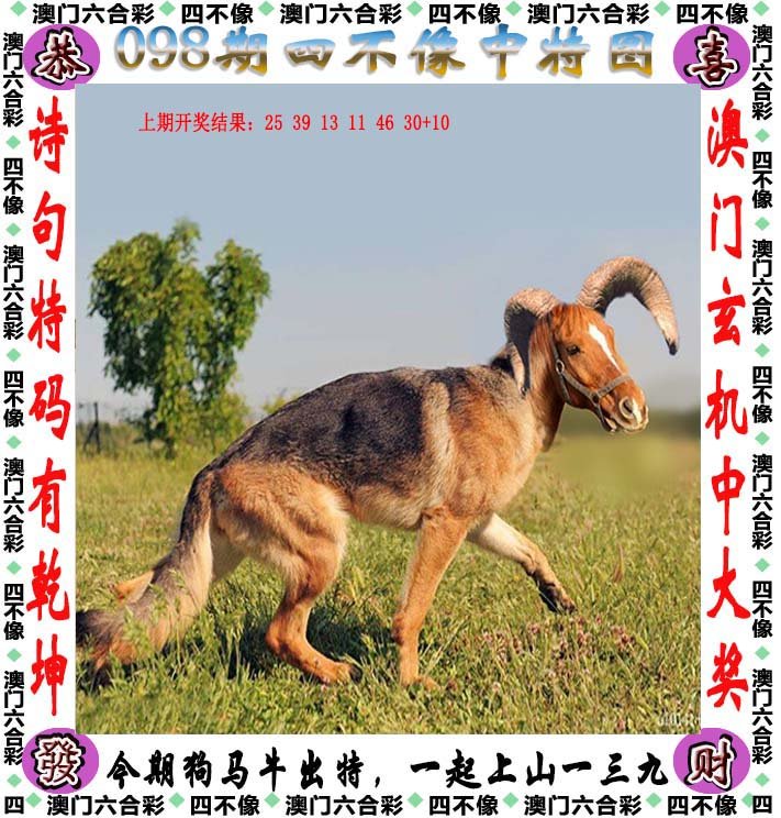 澳門今晚開(kāi)特馬四不像圖,澳門今晚開(kāi)特馬四不像圖——探索澳門馬術(shù)世界的神秘面紗