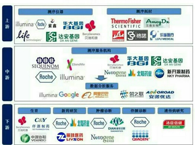 新奧內(nèi)部最準資料,新奧內(nèi)部最準資料深度解析