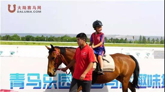 新澳今天開什么特馬,新澳今日賽馬結(jié)果揭秘，探尋特馬的勝利之路