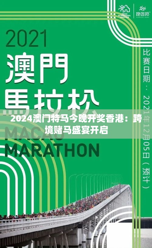 2024年澳門特馬今晚,探索澳門特馬的世界，2024年的今晚展望