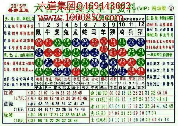 2024十二生肖49碼表,揭秘2024十二生肖與數(shù)字彩票的奇妙聯(lián)系——一份詳盡的49碼表解析