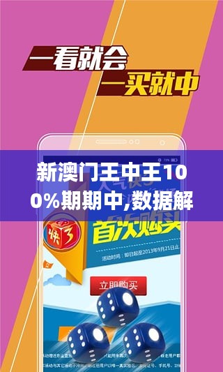 新澳門王中王王中王免費,新澳門王中王王中王免費，探索與體驗