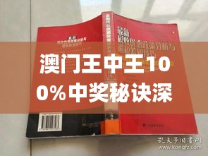 澳門王中王100期期中一期林,澳門王中王100期期中一期林，探索與解析