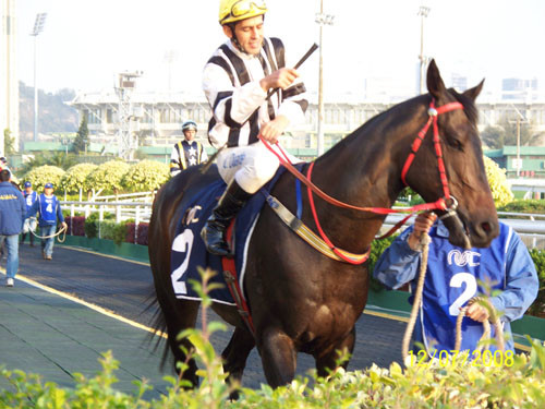 2024澳門正版今晚開特馬,澳門正版今晚開特馬，探索背后的故事與意義