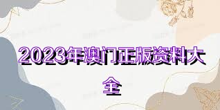 2023澳門(mén)正版全年免費(fèi)資料,澳門(mén)正版全年免費(fèi)資料，探索與期待