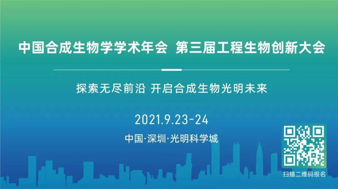 2025新澳免費資料40期,探索未來之門，新澳免費資料四十期展望（2025年）