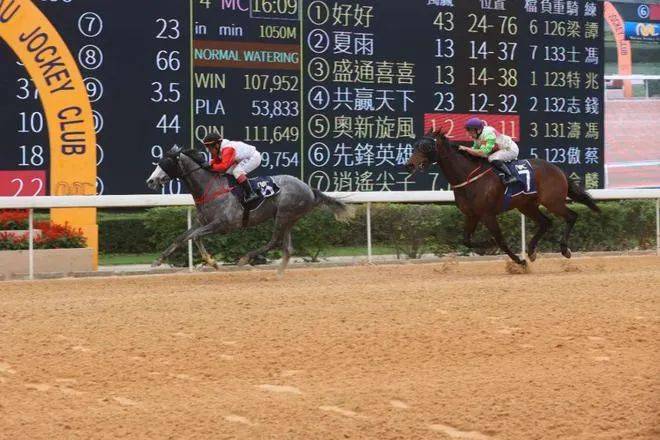 澳門馬會傳真,澳門馬會傳真，探索賽馬運動的魅力與重要性