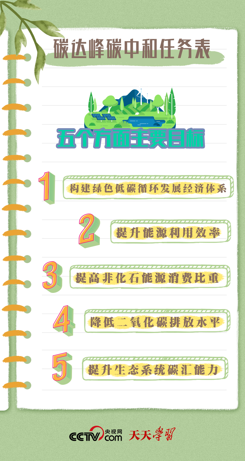 精準一肖100 準確精準的含義,精準一肖100，準確精準的含義與追求