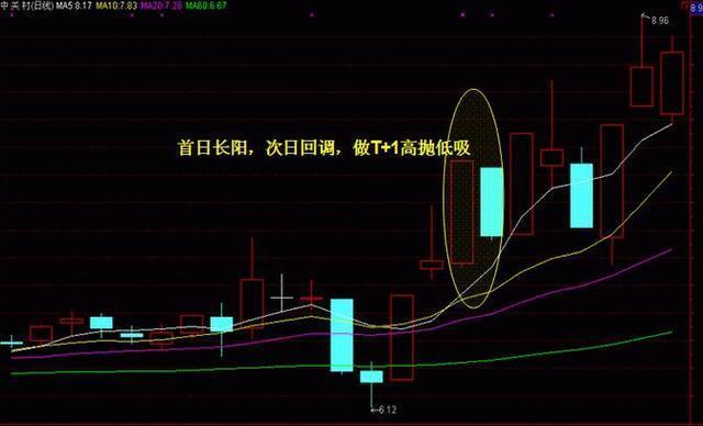 新澳門黃大仙8碼大公開,新澳門黃大仙8碼大公開，揭秘神秘面紗下的真相