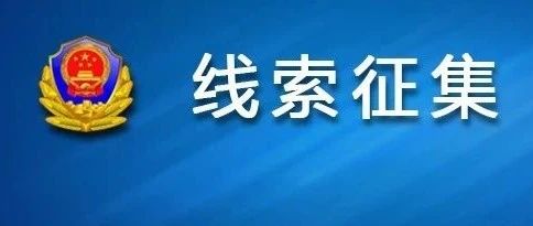 澳門正版資料免費(fèi)大全新聞——揭示違法犯罪問題,澳門正版資料免費(fèi)大全新聞——深入揭示違法犯罪問題的現(xiàn)實(shí)與應(yīng)對(duì)