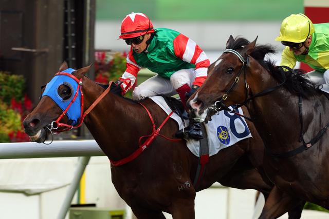 新澳今天開什么特馬,新澳今日賽馬盛況，探尋特馬開賽的秘密