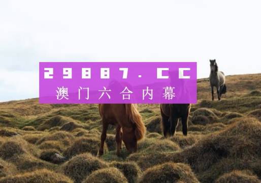 澳門六開獎(jiǎng)結(jié)果2023開獎(jiǎng)記錄查詢網(wǎng)站,澳門六開獎(jiǎng)結(jié)果2023開獎(jiǎng)記錄查詢網(wǎng)站，探索與解析