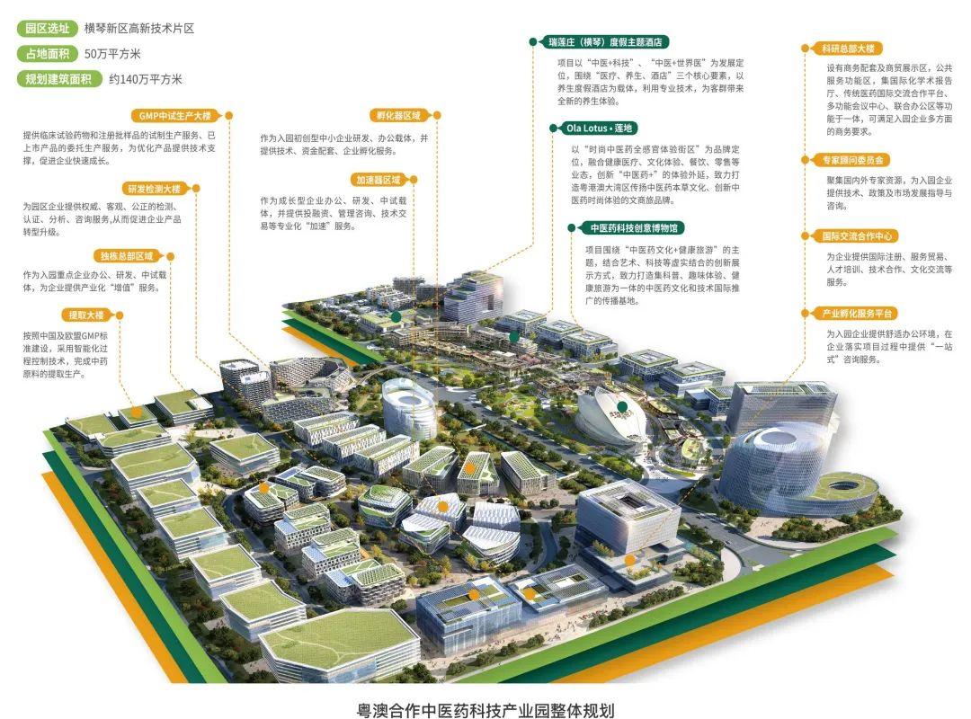 新澳門2025免費瓷料大全,新澳門2025免費瓷料大全——探索與賞析