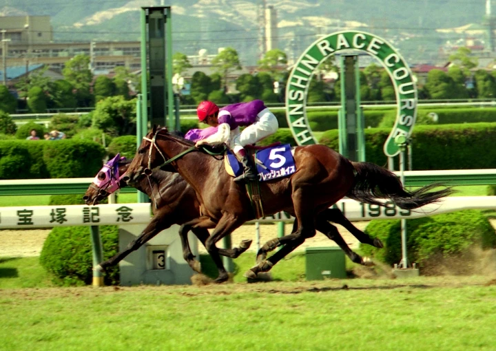 2025今晚香港開特馬,今晚香港開特馬，探索賽馬運動的魅力與未來展望