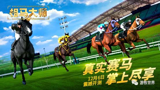 新澳今天開什么特馬,新澳今天開什么特馬，探索賽馬運動的魅力與奧秘