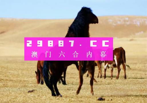 7777788888精準(zhǔn)跑狗圖正版,探索精準(zhǔn)跑狗圖正版，77777與88888的神秘世界