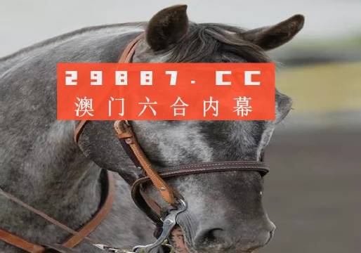 澳門(mén)精準(zhǔn)一肖一碼一碼,澳門(mén)精準(zhǔn)一肖一碼一碼，探索與解析