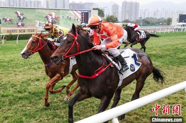 2025今晚香港開特馬,關(guān)于香港賽馬會特馬賽事的探討與期待——以今晚香港特馬賽事為例