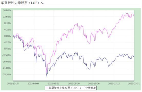 2023年澳門特馬今晚開碼,探索澳門特馬，2023年今晚的開碼之旅