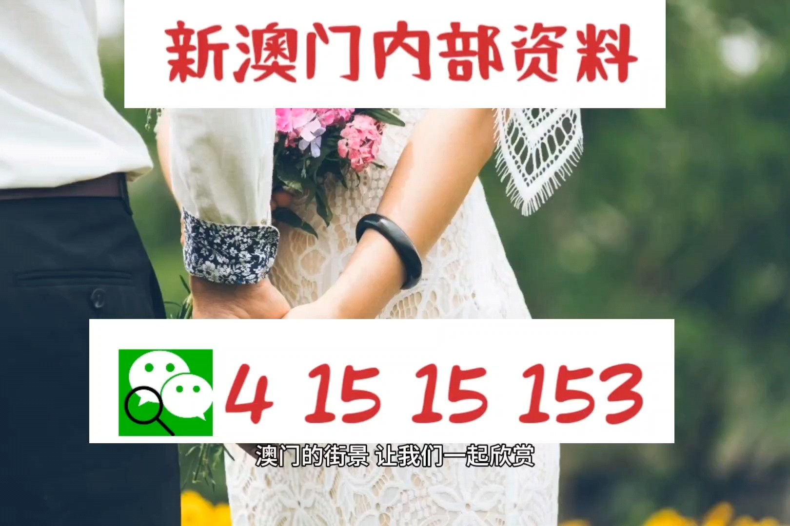 2025澳門四不像解析圖,澳門四不像解析圖，探索與預(yù)測到2025年