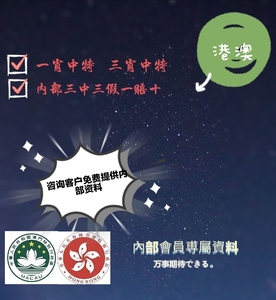 澳門王中王100%的資料三中三,澳門王中王100%精準(zhǔn)資料解析與三中三策略探討