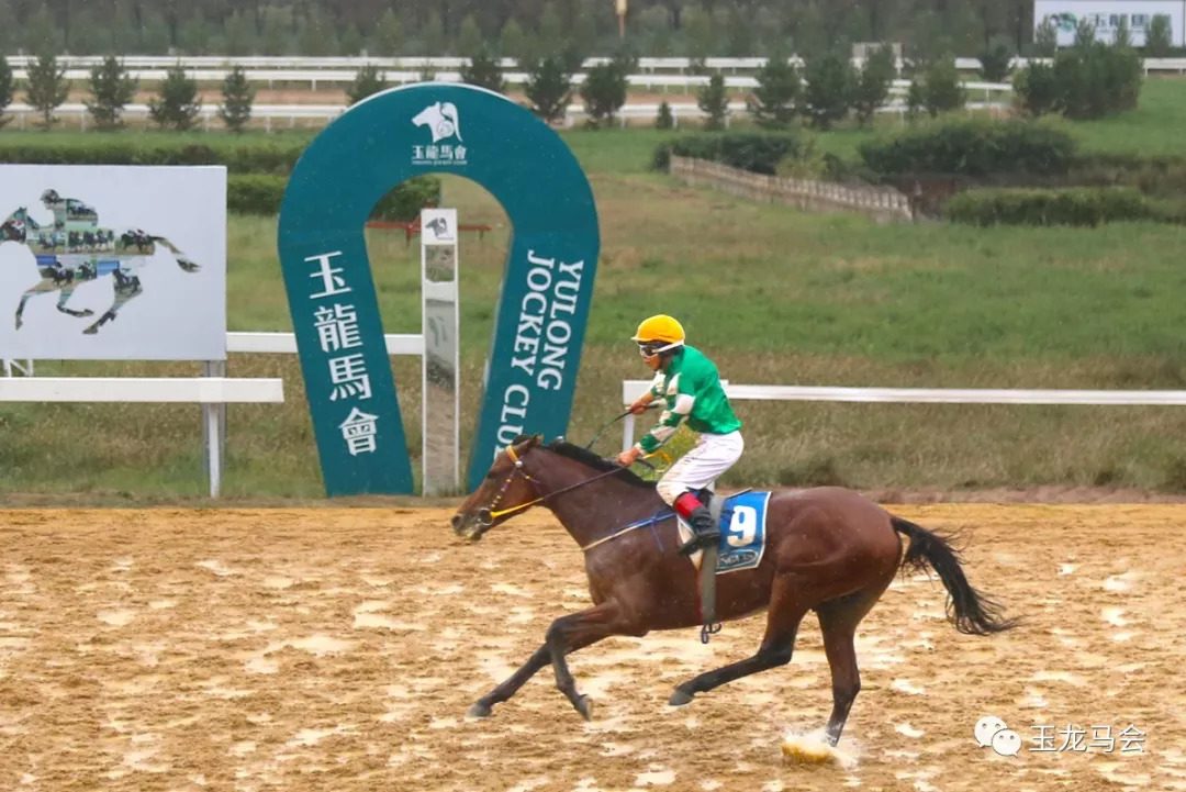 新澳今天開(kāi)什么特馬,新澳今日賽馬結(jié)果揭秘，探尋特馬的勝利之路