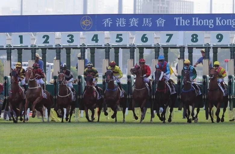 香港馬資料更新最快的,香港賽馬資料更新的速度與準確性，行業(yè)領(lǐng)先的資訊服務(wù)