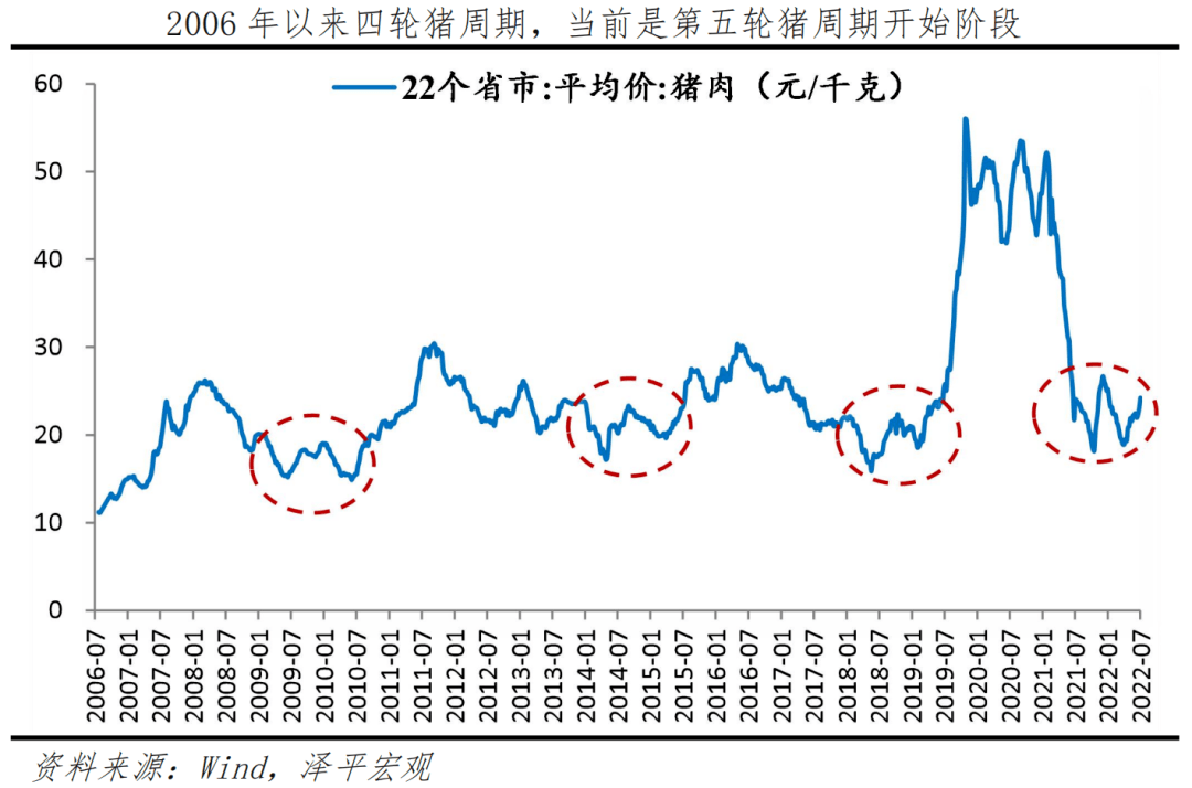 2025今晚新澳開獎(jiǎng)號(hào)碼,關(guān)于今晚新澳開獎(jiǎng)號(hào)碼的探討與預(yù)測(cè)（2023年）