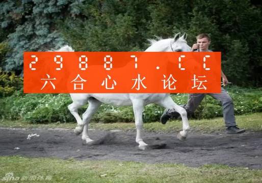 7777788888新版跑狗圖,探索新版跑狗圖，77777與88888的魅力交織