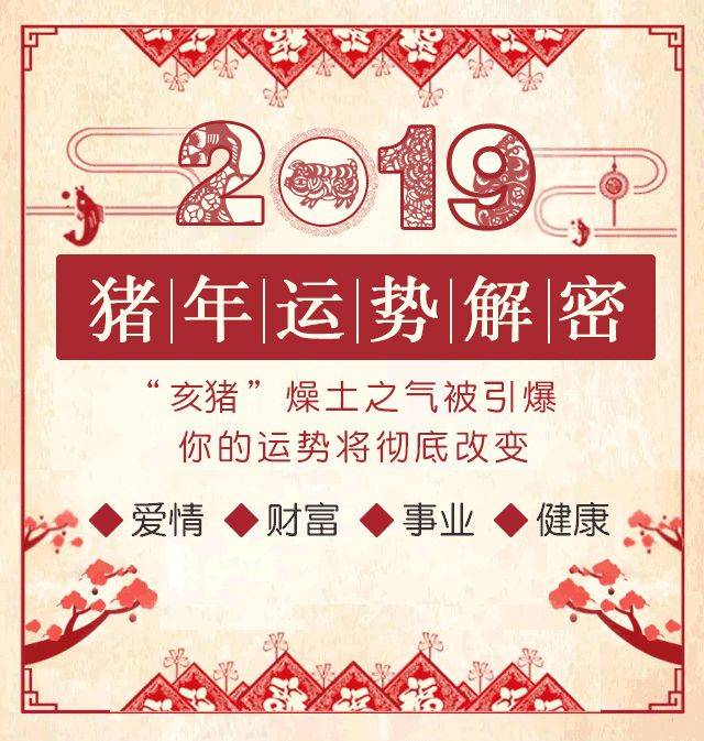 一碼一肖100%精準(zhǔn),一碼一肖，揭秘精準(zhǔn)預(yù)測(cè)背后的秘密