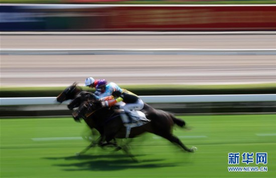 香港最準馬會資料免費,香港最準馬會資料免費，探索賽馬運動的魅力與公開資料的價值