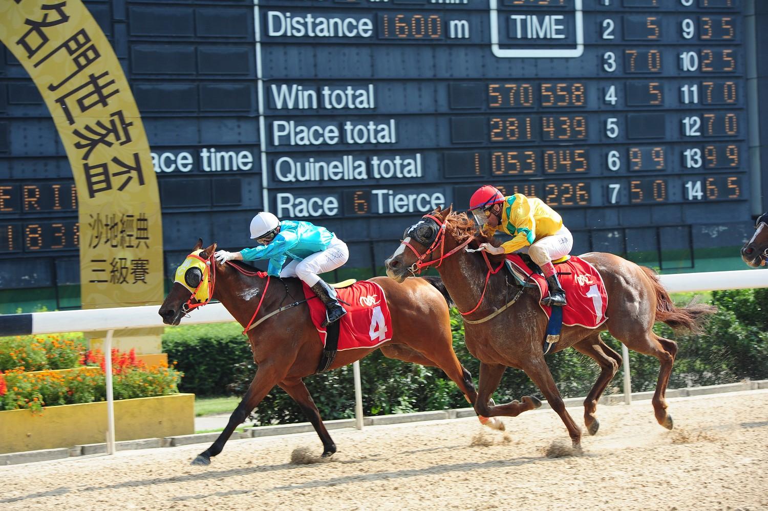 澳門馬會傳真,澳門馬會傳真，探索賽馬運動的魅力與重要性