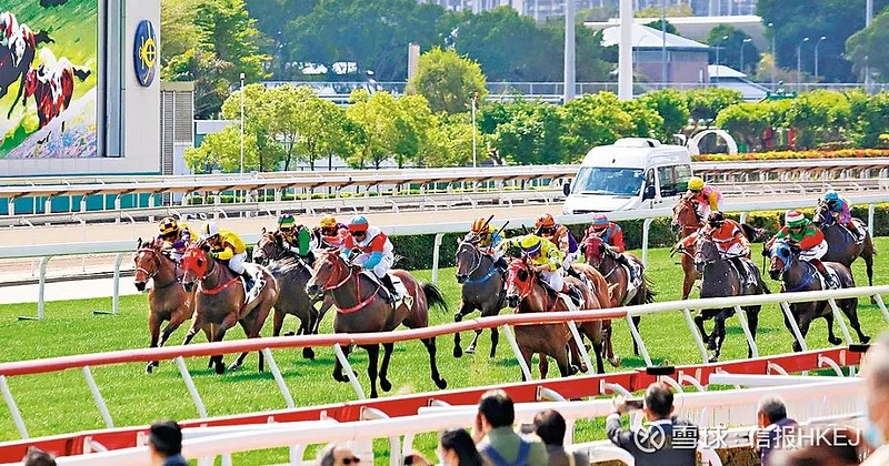 馬會傳真,馬會傳真，探索馬術運動中的信息傳遞與競技精神